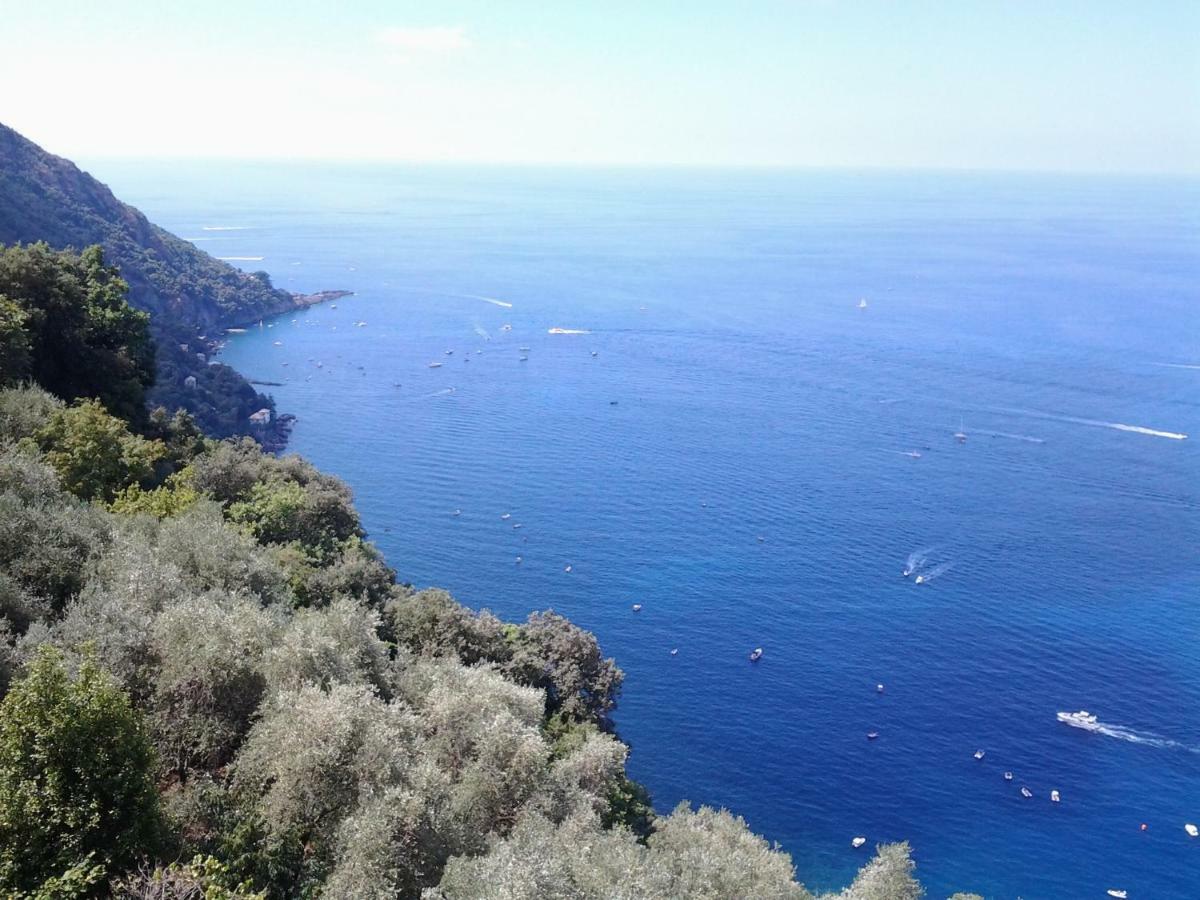 شقة Casa Constanza Pace E Relax In Liguria كامولّي المظهر الخارجي الصورة